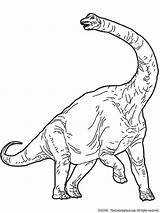 Brachiosaurus Coloring Dinosaur Pages Neck Colouring Drawing Long Template Dinosaurs Kids sketch template