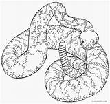 Snake Coloring Pages Printable Kids Template sketch template