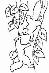Climbing Squirrel Colornimbus sketch template