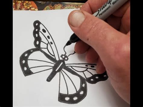 draw  butterfly wings step  step youtube