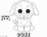 Boo Coloring Pages Beanie Duke Dog Printable Slush Cute Template Print sketch template
