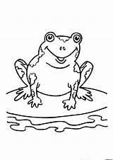 Frog Kids Coloring Pages Printable Frogs Cute Sheets Colouring Bestcoloringpagesforkids Print Speckled Preschool Pix sketch template