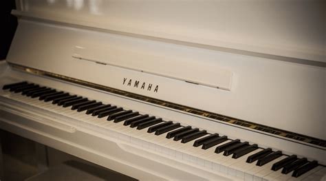 anatomy   piano turners keyboards