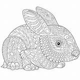 Zentangle Hare Hase Mandalas Stylized Coelho Ausmalen Malvorlage Estilizado Coloringfolder Ilustração sketch template