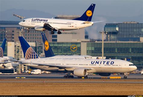 nua united airlines boeing    frankfurt photo id