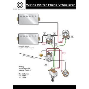 epiphone flying  guitar wiring diagram  wiring diagram sample  xxx hot girl