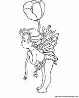 Blume Fairies Ausmalbild Fiore Coloring2000 Webbrowser Benutzen Genügt Anderen Ordnung Einen Fata Ausmalen2000 sketch template