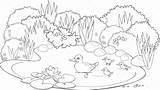 Pond Coloring Pages Drawing Template Printable Color Getcolorings Getdrawings 1300 52kb sketch template