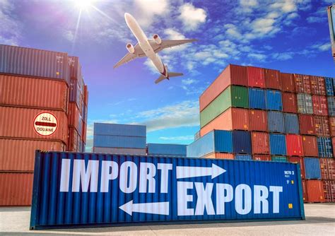 customs clearance  customs declaration  import  export pharma logistics