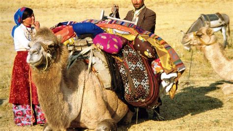 hand weavings belonging   nomadic culture turkish ethnic culture