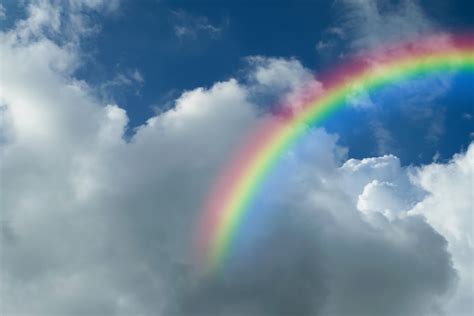 hoeveel kleuren heeft een regenboog hoeveel kleuren  een regenboog kleur hanteren  ontwerp