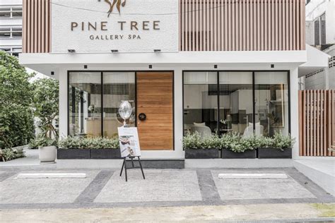pine tree wellness gallery spa