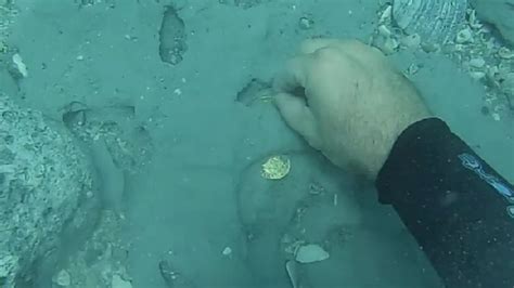 florida sunken treasure discovery   shipwreck valued    million abc news