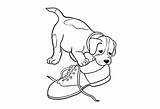 Dog Chewing Puppy Shoe Clip Clipart Drawing Line sketch template