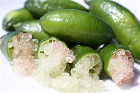 How To Grow Finger Limes My Productive Backyard