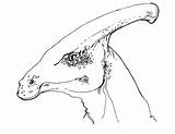 Dinosaur Duck Billed Coloring Parasaurolophus Corythosaurus Coloringpagesonly Maiasaura Pages Head sketch template