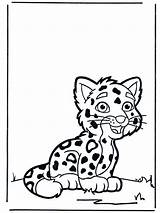 Coloring Tiger Baby Pages Sheets Kids Cheetah Cute Funny Cats Cartoon Print Animals Cub Funnycoloring Kleurplaat Popular Mega Pdf Jaguar sketch template