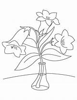 Bellflower Bestcoloringpages Ausmalen Blumen Glockenblume sketch template
