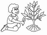 Tree Plant Coloring Pages sketch template
