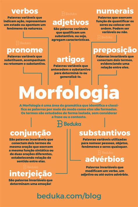 morfologia artofit