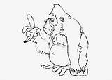 Coloring Monkey Pages Banana sketch template