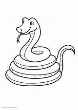 Serpente Schlangen Ausmalbilder Snake Serpentes Ausmalbild Colorir Coloring4free Imprimir sketch template