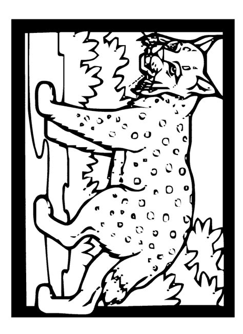 coloring pages animals dr odd