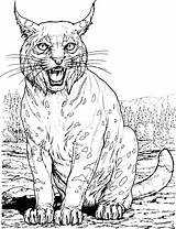 Coloring Cat Pages Big Printable Animal Lynx Cats Adult Choose Board sketch template