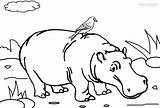Hippo Coloring Pages Printable Baby Kids Cool2bkids Template sketch template