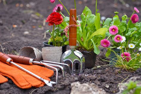 Préparer Son Jardin Avec Larrivée Du Printemps Jdnet Vous Conseille