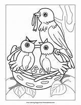 Coloring Pages Spring Printable Birds Nest Primarygames Kids Preschool Nests Books sketch template