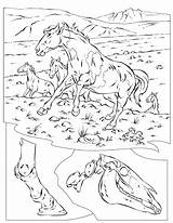Chevaux Coloriage Paarden Kleurplaat Wildpferde Cavalli Wilde Sauvages Caballos Malvorlage Salvajes Imprimer Selvatici Horses Sauvage Ausmalbild Stampare Kleurplaten Ausdrucken Printen sketch template