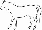 Horse Outline Animal Outlines Animals Drawing Printable Clip Clipart Coloring Horses Running Drawings Pages Kids Head 13j Cliparts Size Child sketch template