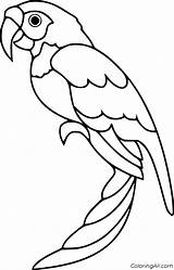 Parrot Coloring Pages Easy sketch template