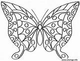 Coloriage Papillon Dessin Imprimer sketch template