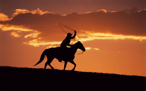 western cowboy  sunset wallpapers hd wallpapers id