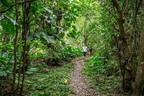 A New Hiking Trail In Saba