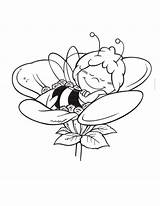 Coloring Pages Bee Maya Flower Wasp Bees Sleeping Kids Book Printable Clipart Drawings Clip Choose Board Colour sketch template