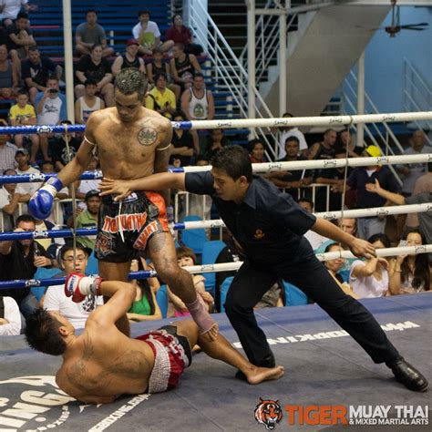 fighting thai tiger muay thai and mma training camp guest fights july 3