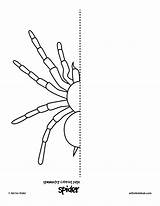 Symmetry Coloring Spider Pages Kids Bug sketch template