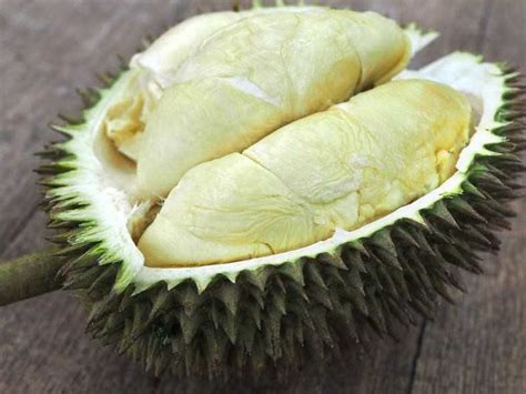 types  durian     visiting malaysia   durian season explained
