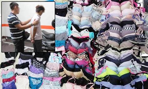 perv who stole and collected a museum of stolen uni girls underwear