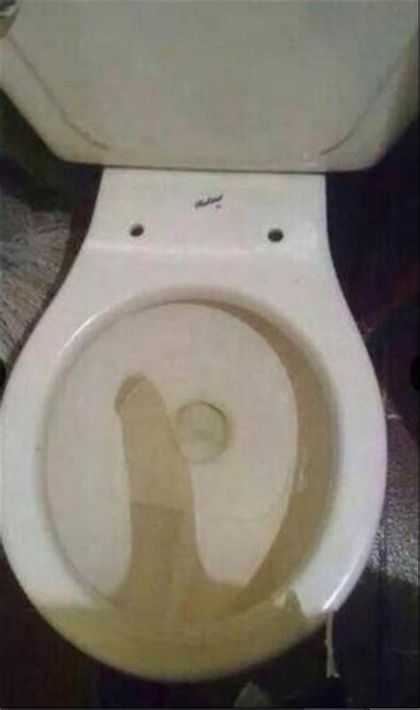 James On Twitter Wtf Someone Stole My Toilet Seat
