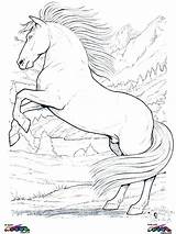 Coloring Pages Horse Horses Clydesdale Girls Indian Getdrawings Getcolorings Printable Colorings sketch template