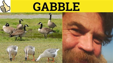 gabble gabble meaning gabbling examples gabble definition youtube