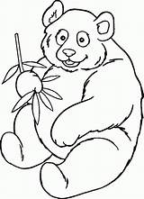 Panda Bear Coloring Template Pages Library Clipart sketch template