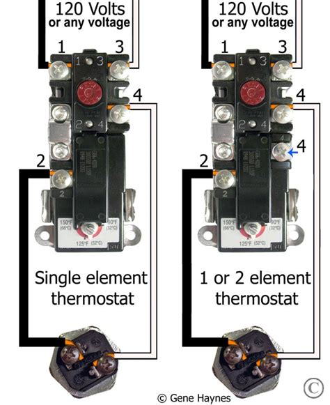 electric hot water heater thermostat wiring diagram  faceitsaloncom