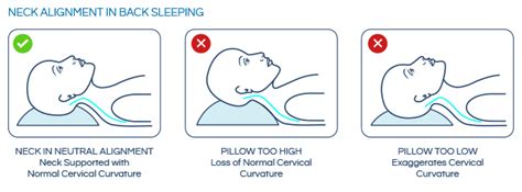 Best Pillows For Neck Pain Sleep Scouts