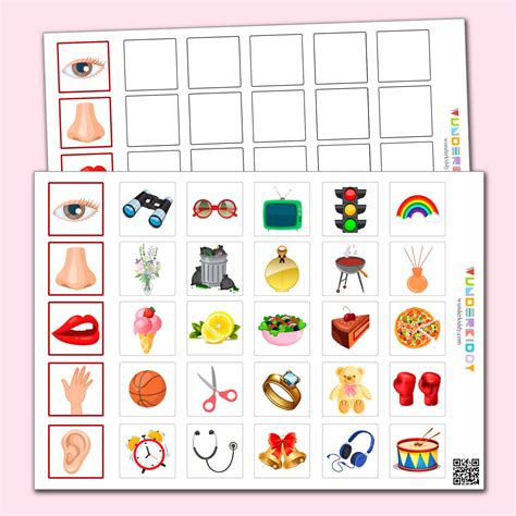 kindergarten printable sorting activity  senses