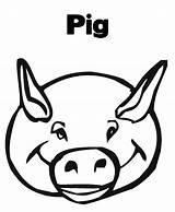 Pig Coloring Line Cliparts sketch template